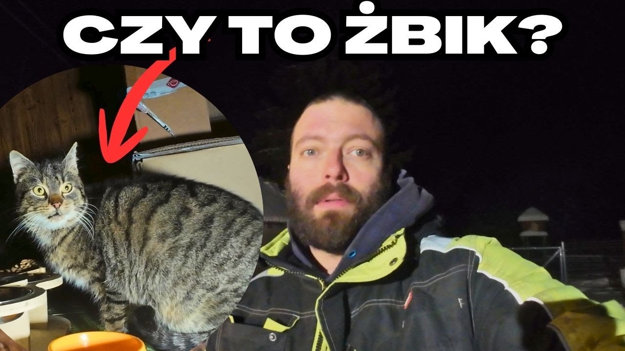 Weterynarz, lodowisko na podwórku i mam poważne kłopoty