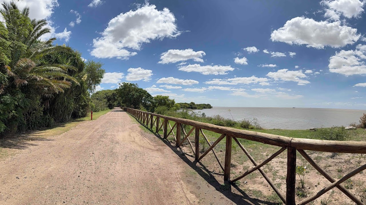 Reserva Ecológica Costanera Sur - Recorrido largo (7,9 km) en MTB 🚴🏻‍♂️