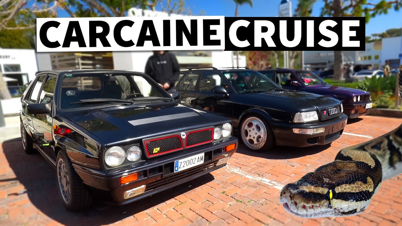 Cars, Coffee, Canyons, Constrictors?? // #CarcaineAbroad