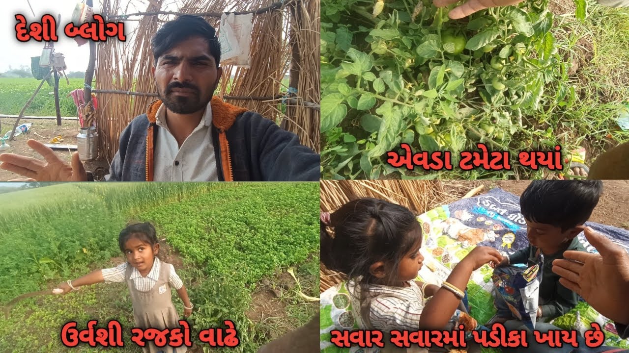 સવાર સવારમાં પડીકા ખાય છે || desi vlog ||Village femily vlog ||Village Lifestyle Vlog