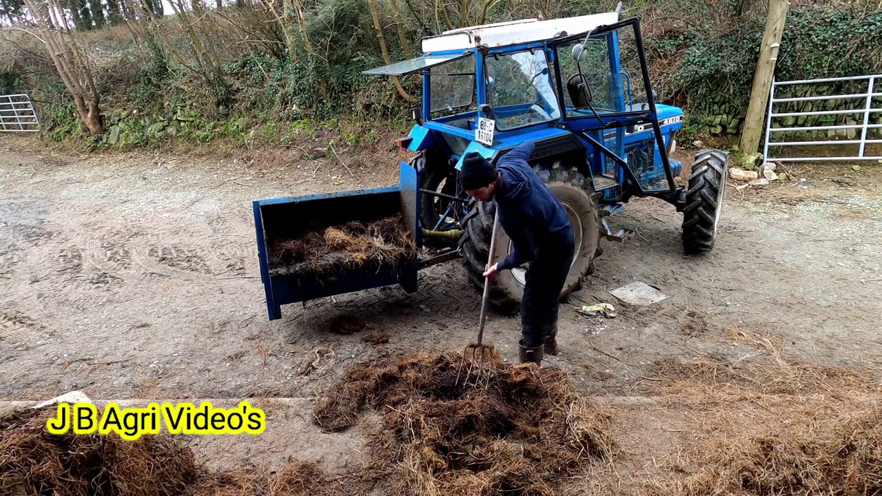 Spreading dung the HARD WAY