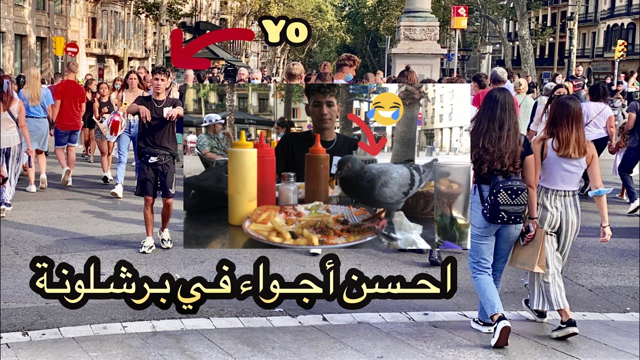 كنكول مع لحمام في المطعم 😲🕊🕊🥗