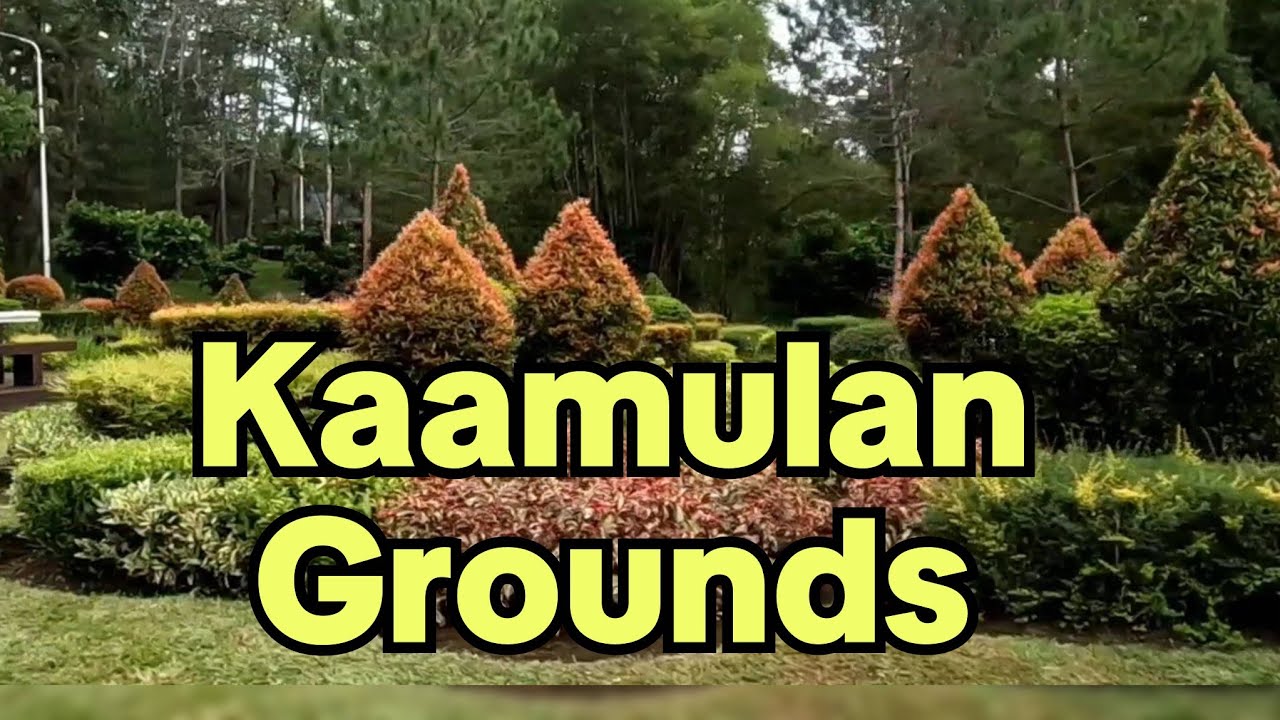 Road Tour/Kaamulan Grounds and Bukidnon Provincial Capitol Area