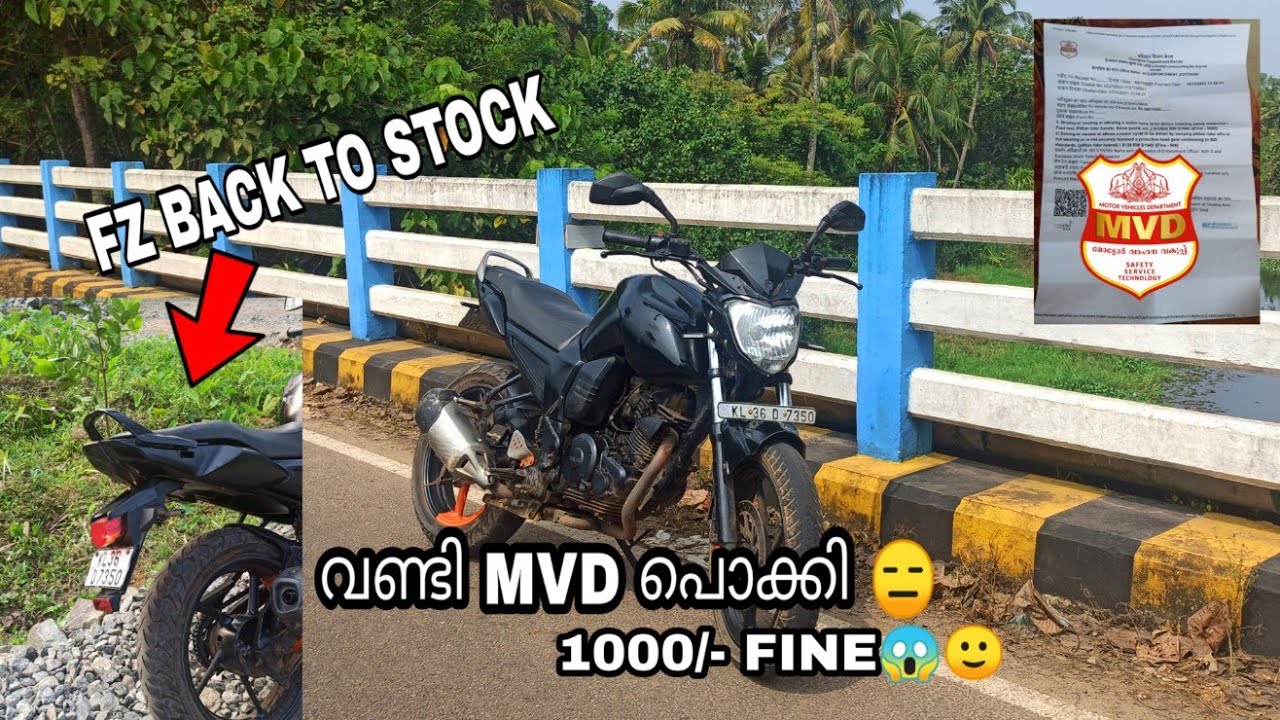FZ BACK TO STOCK &hearts;️