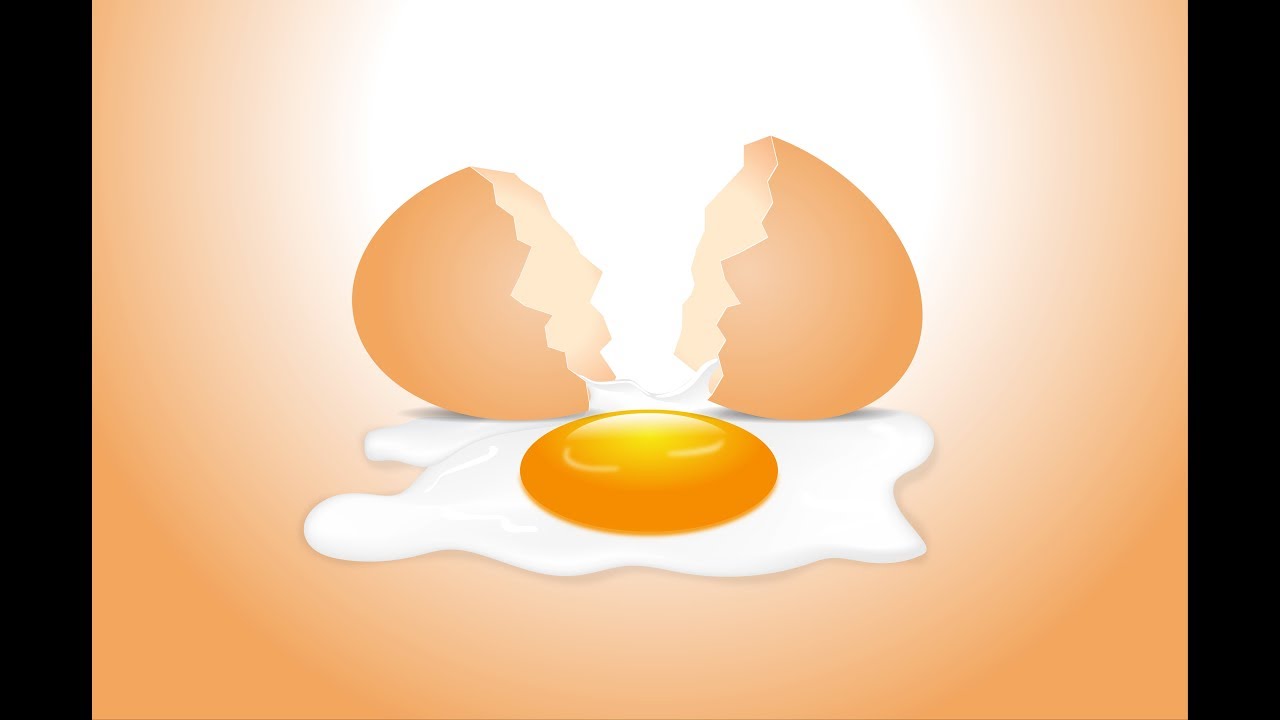 Art Work Broken eggs design in Adobe illustrator CC
