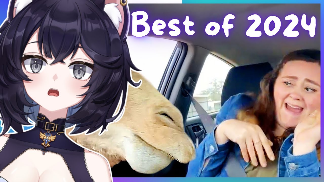 Vtuber REACTS to the Best MEMES Of 2024 // Daily Dose of Internet