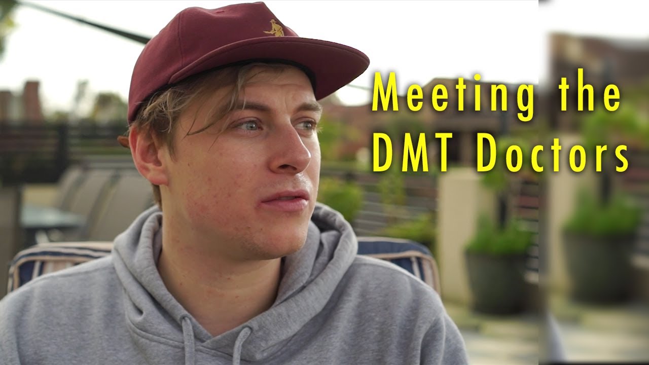 Dmt Trip Report | Meeting the DMT Doctors