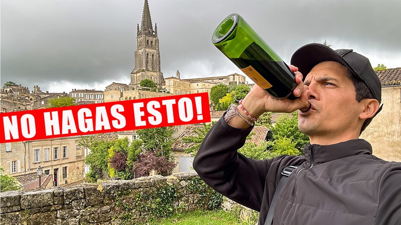 La realidad sobre visitar viñedos en Francia 🇫🇷