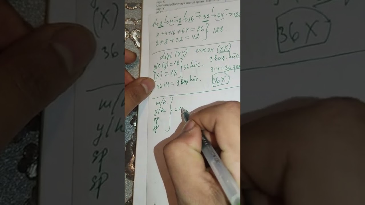 TAİM. Çoxalma ontogenez test izahı. N 31-43. MİQ və Sertifikasiya hazırlığı. Əlaqə: 055-634-73-41