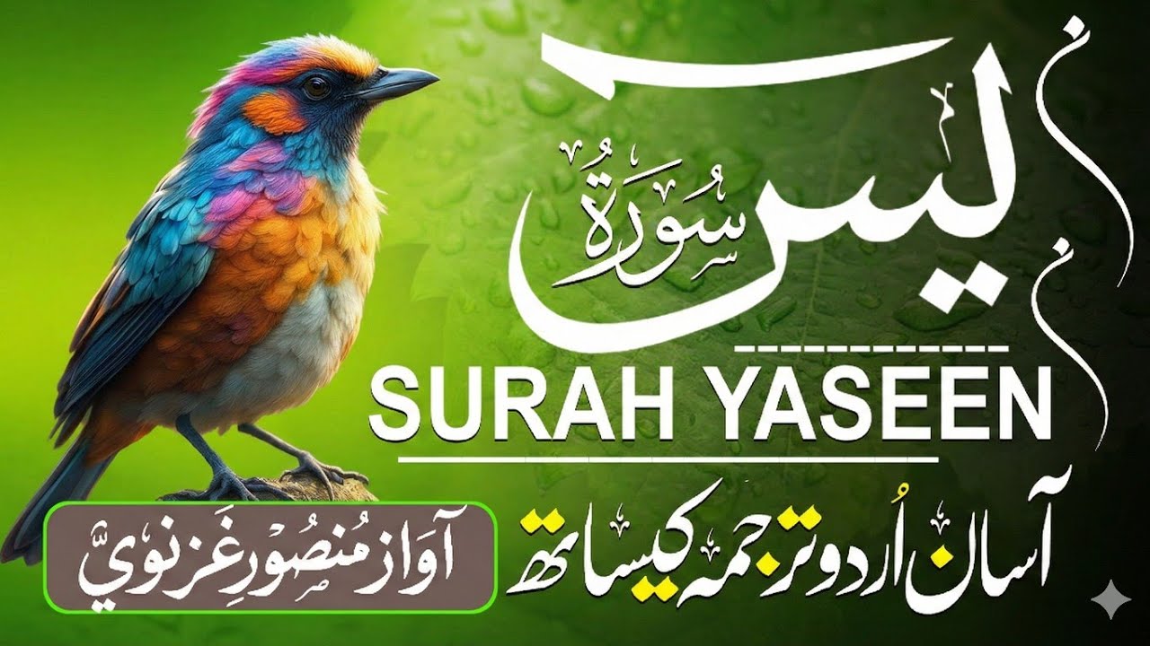 Surah Yaseen (Yā-Sīn) with Urdu & Hindi Tarjuma | Tears Bringing Tilawat | Powerful Quran Recitation