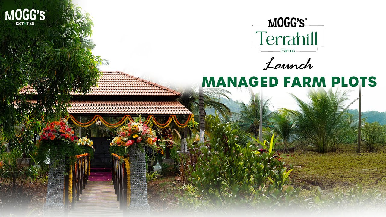 Mogg’s Terrahill Launch – 13th & 14th September 2025 | Mogg's Estates | Managed Farmland