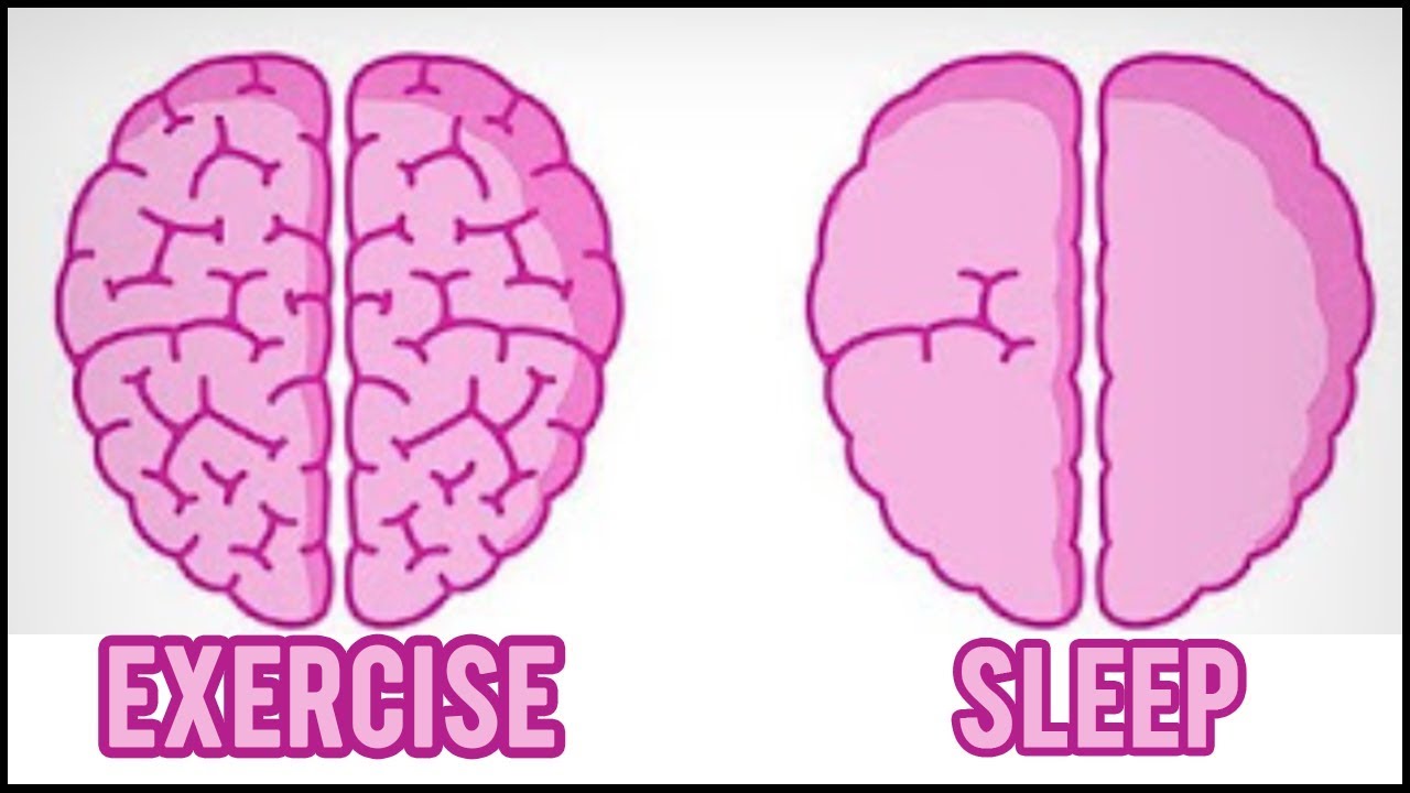 How Exercise Affects Your Brain