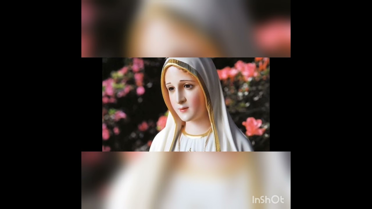 conjunto mensajero de la virgen Fátima diciembre ya se va. por qué ya viene las fiestas