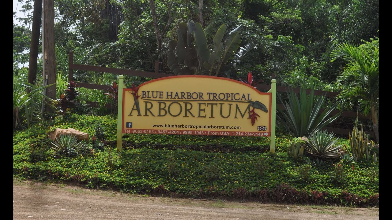 Blue Harbor Tropical Arboretum | Roatan, Honduras