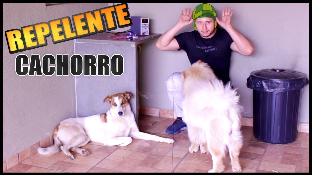 Como Fazer um Repele Cachorro Ultrassônico