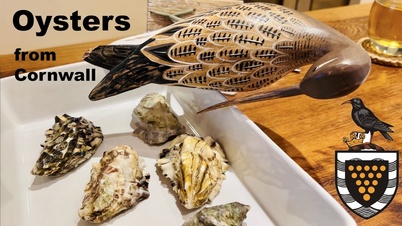 Oysters from Cornwall, Buying, Shucking, Eating
