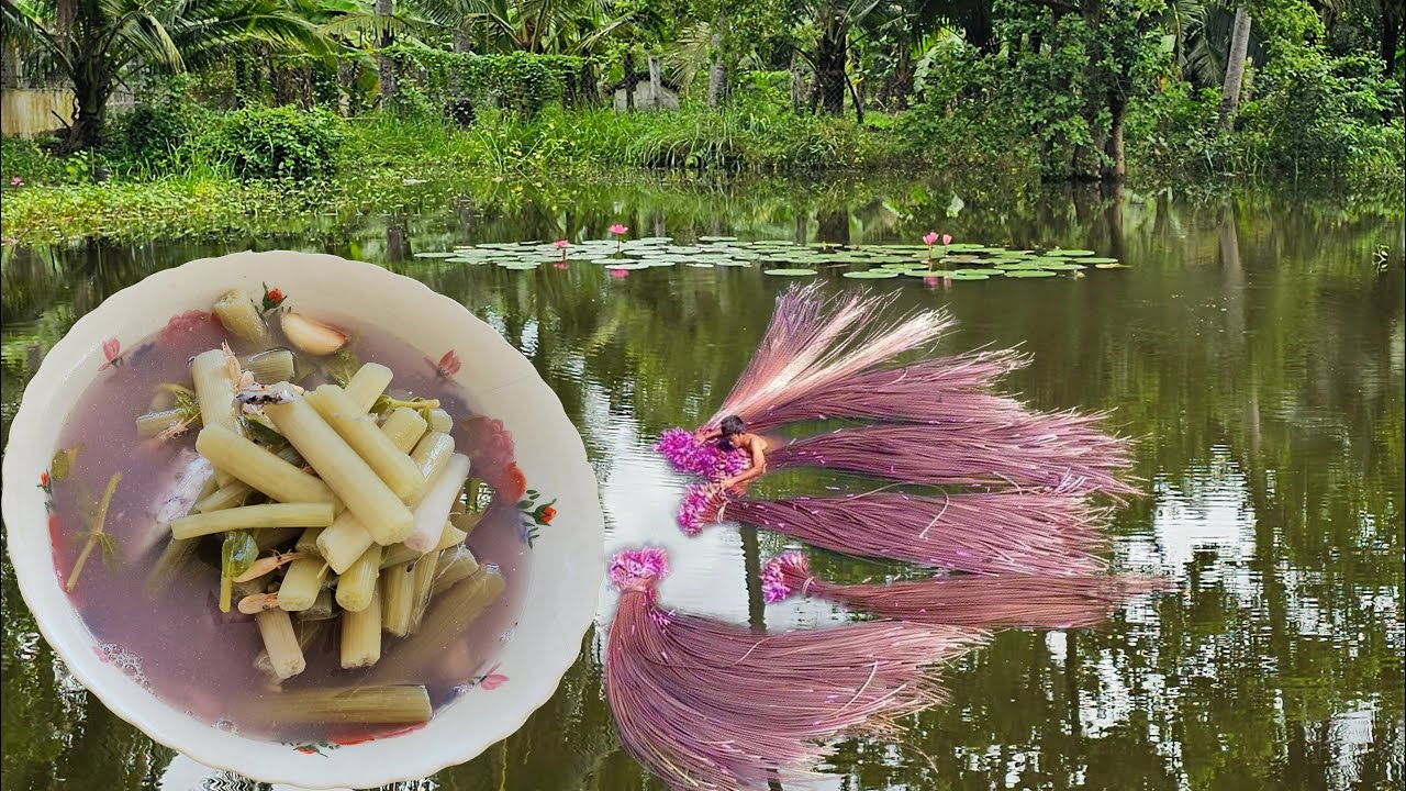 Natural fish cooking Delicious soup,[天然鱼肉烹饪美味汤],[Poisson naturel cuisiné une délicieuse soupe]
