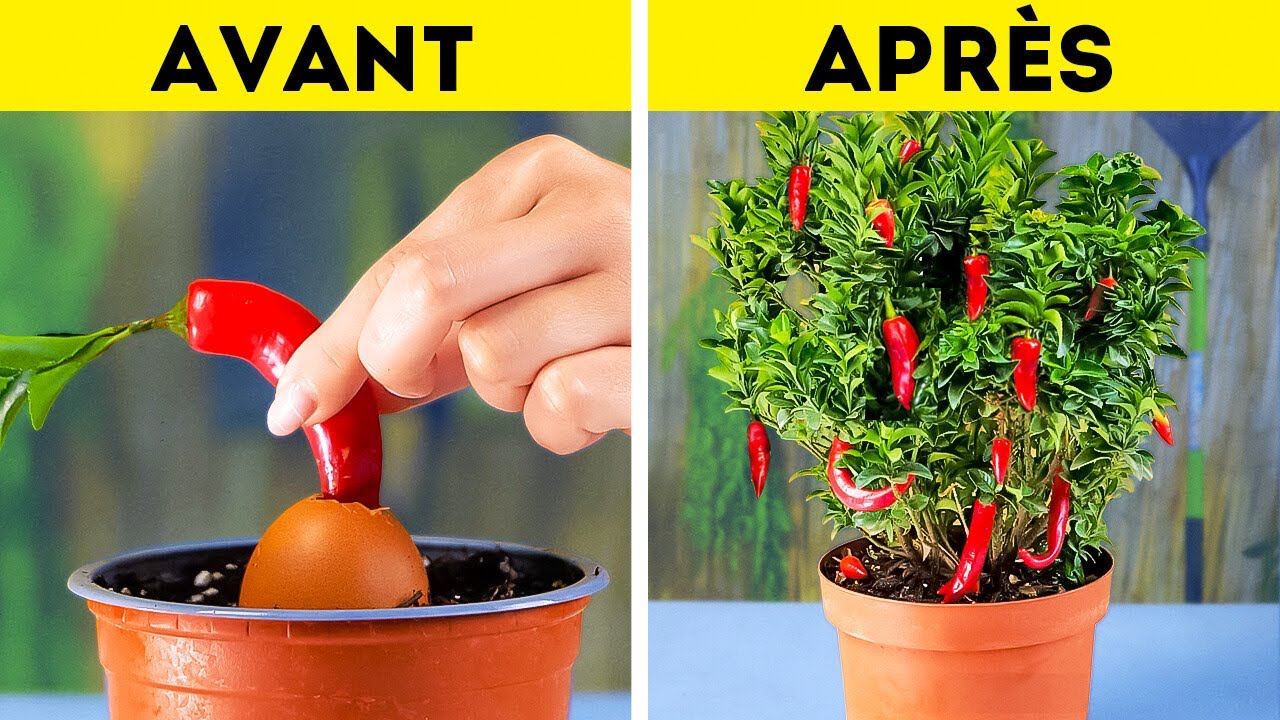 Jardinez comme un Pro 🌱🌼 Transformez votre jardin avec ces astuces et conseils de premier ordre !