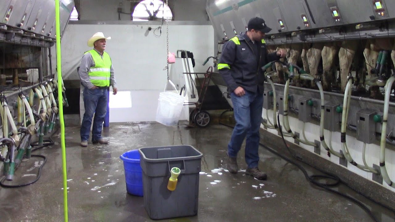 Hulsbosch Dairy Farm in Decatur County, Indiana
