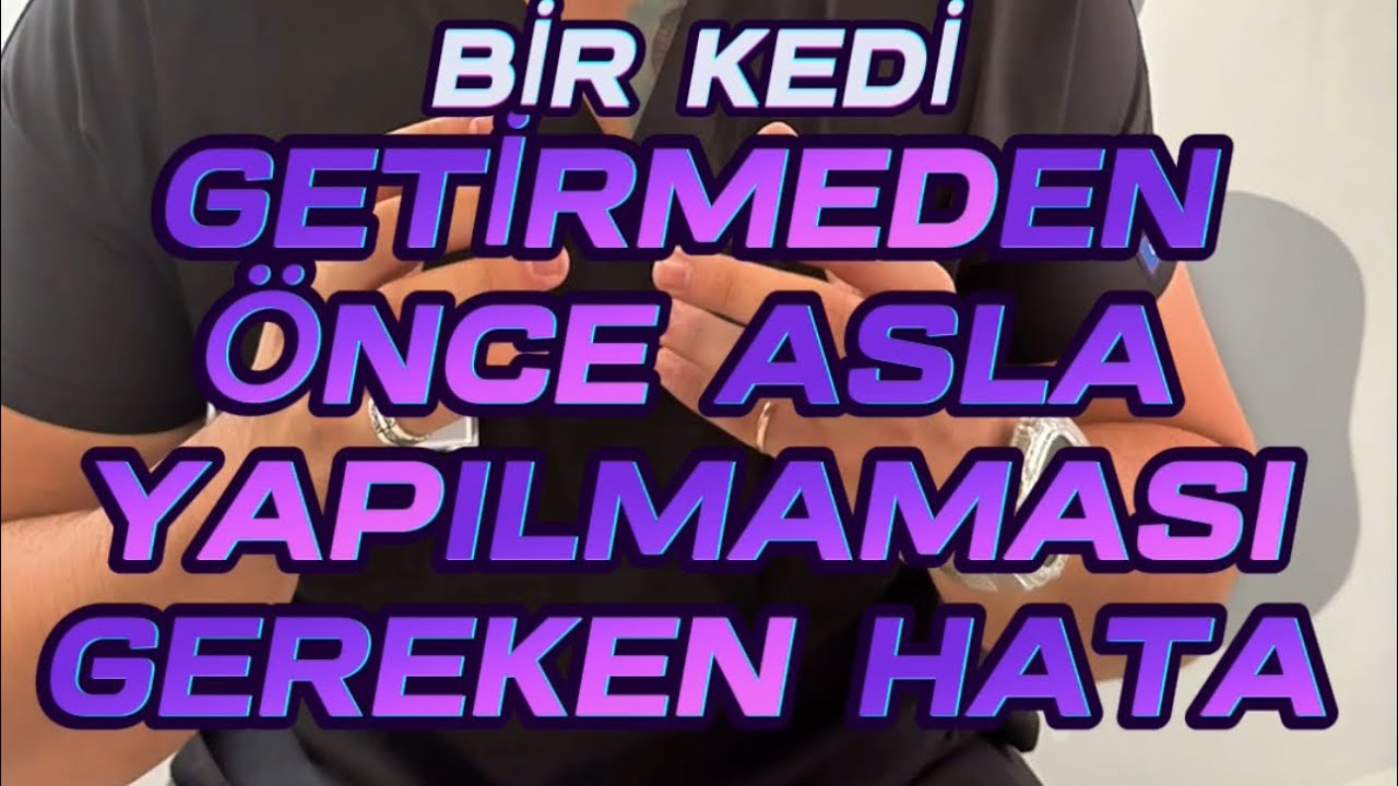 Eve ikinci bir kediyi getirmeden önce dikkat!