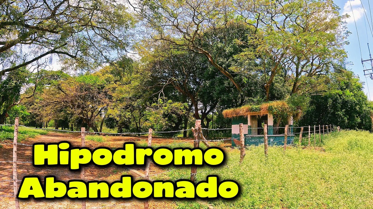 VISITAMOS UN LUGAR ABANDONADO EN PALMIRA