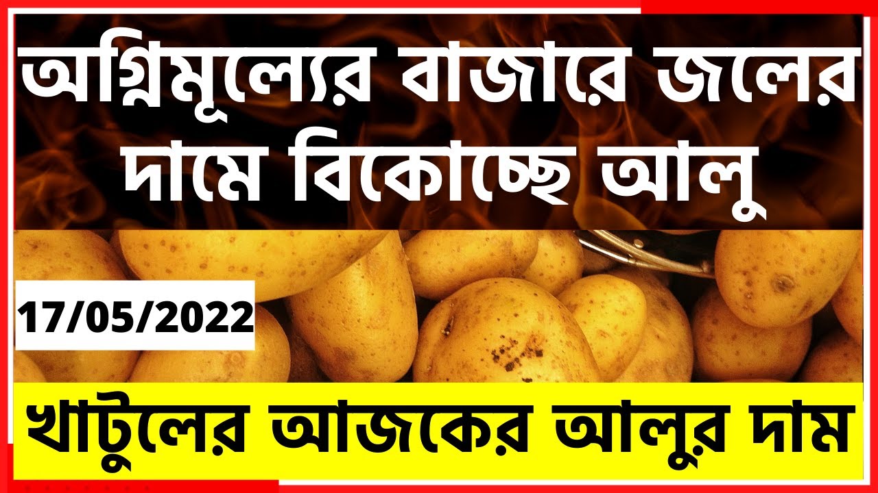 17/05/2022 : অগ্নিমূল্যের বাজারে জলের দামে বিকোচ্ছে আলু I খাটুলের আজকের আলুর দাম I W.B Potato Price