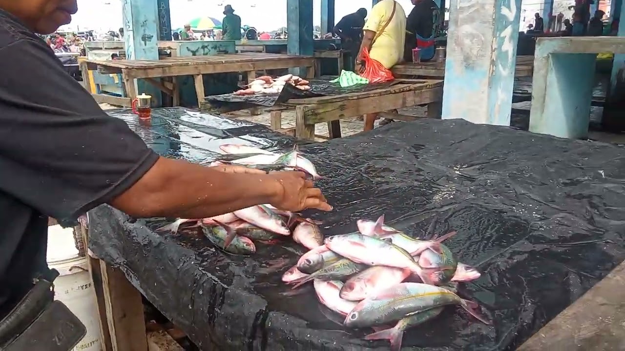 Belikan di pasar Sorong @hanss hans