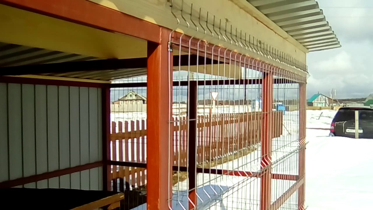Вольер для собаки.