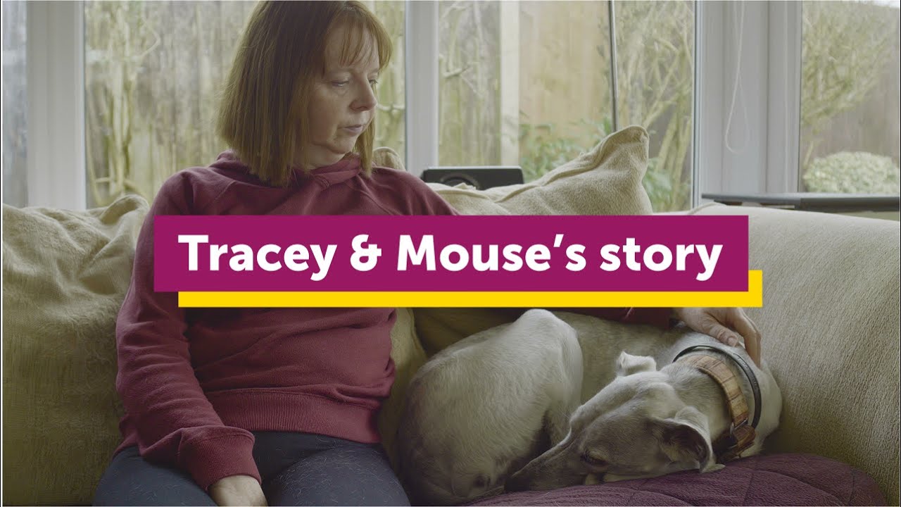 Miraculous Stories - Tracey and Mouse