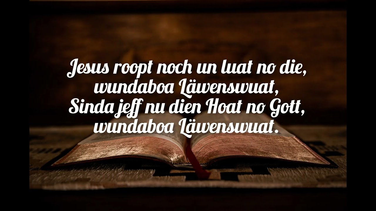 Wundaboa Läwenswuat