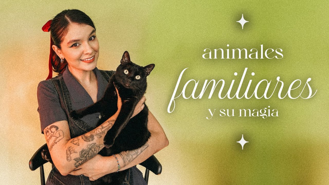 ¿Mi gata viaja entre planos? 🐈‍⬛ | Animales familiares: qué son, señales y folklore brujil 🦉✨