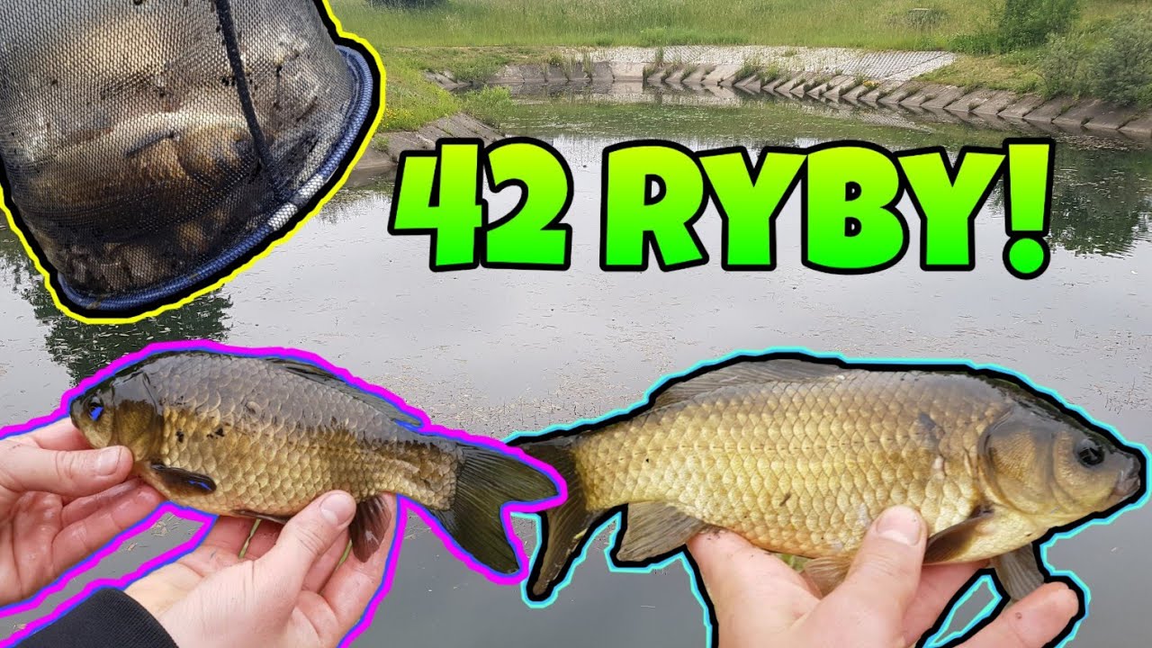 W końcu połowiłem | piękne karsie | łowienie ryb nad  ogrodzonym jeziorze | wędkarstwo 2020