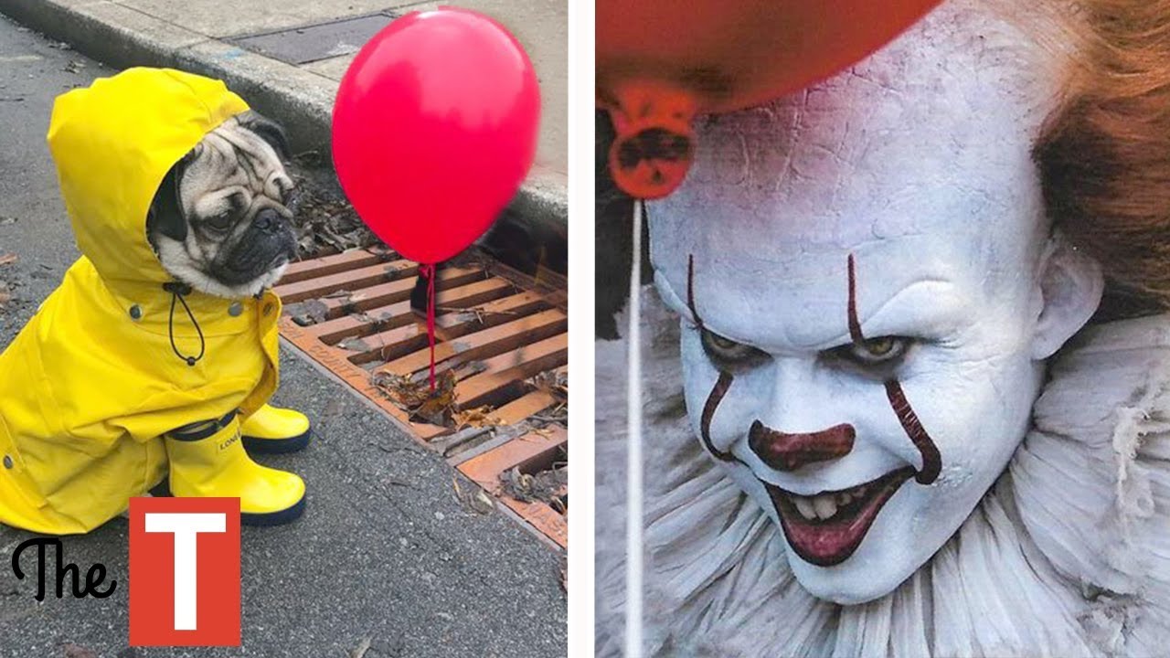 20 EPIC Pet Costume Ideas For Halloween (Pennywise from IT movie, Wonder Woman)