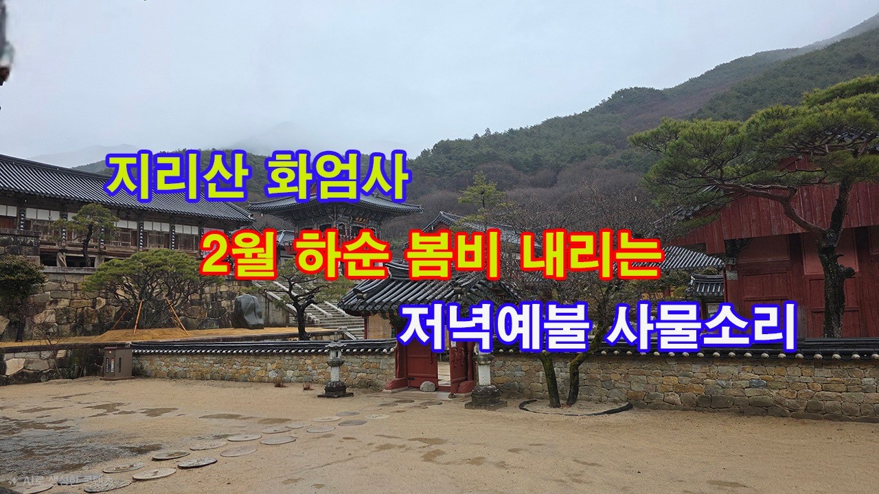 지리산 화엄사 2월 하순 봄비 내리는 저녁예불 사물소리(2026년 2월 23일)