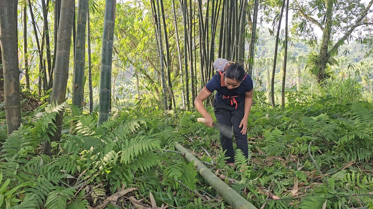 Single Mother - The First Steps: Building a Bamboo Duck Coop and Selling Bananas to Make a Living