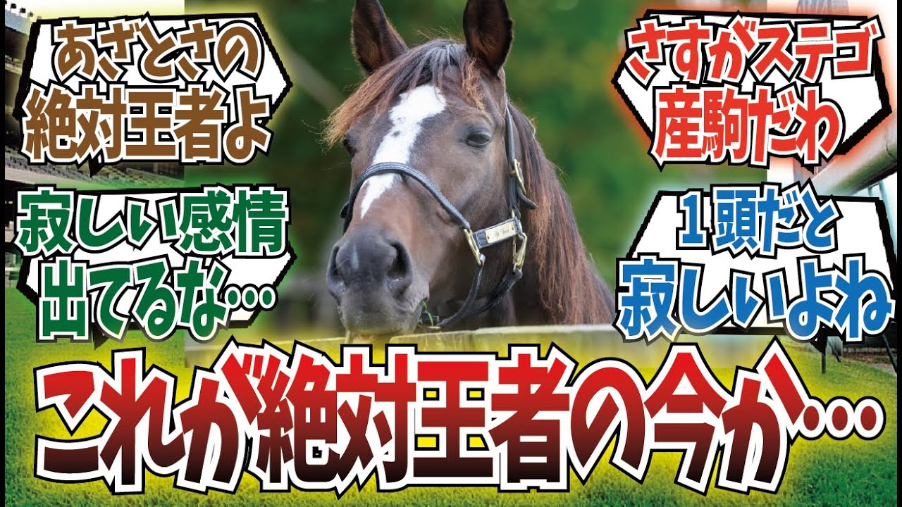 「嫉妬するオジュウチョウサン」に対するみんなの反応集
