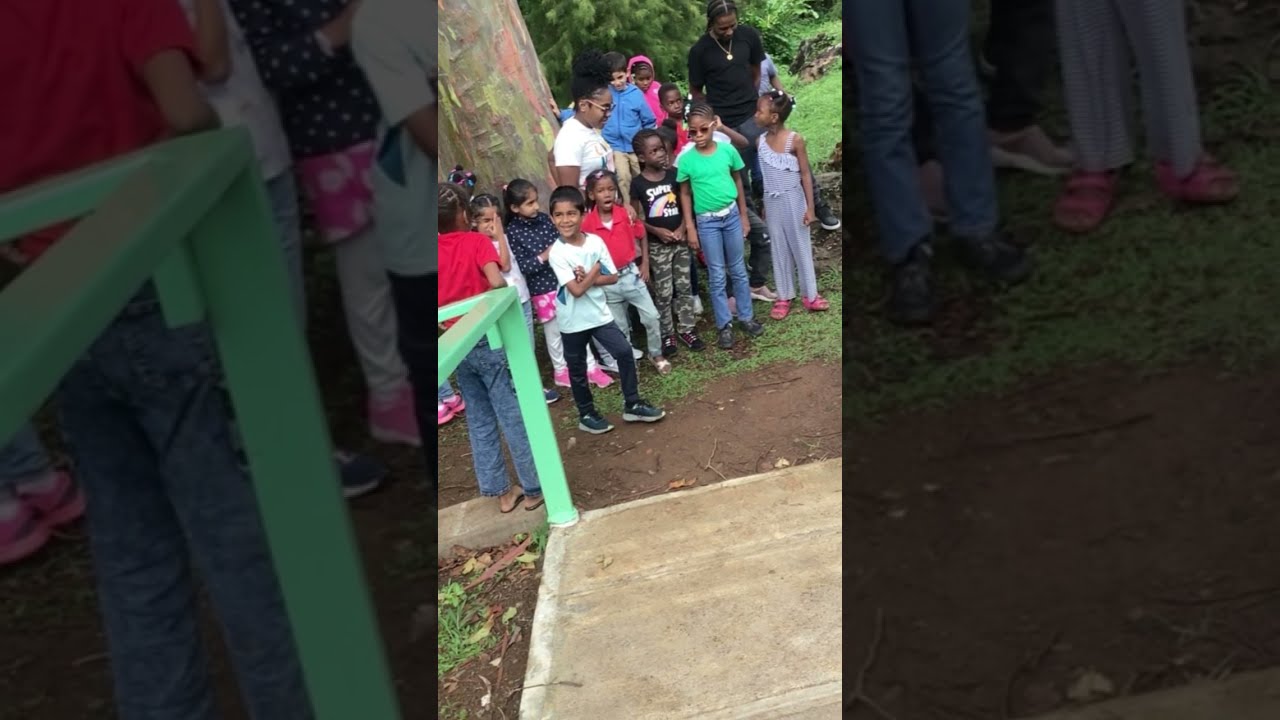 CALLISTE GOVERNMENT SCHOOL THE MOVIE FIELD TRIP