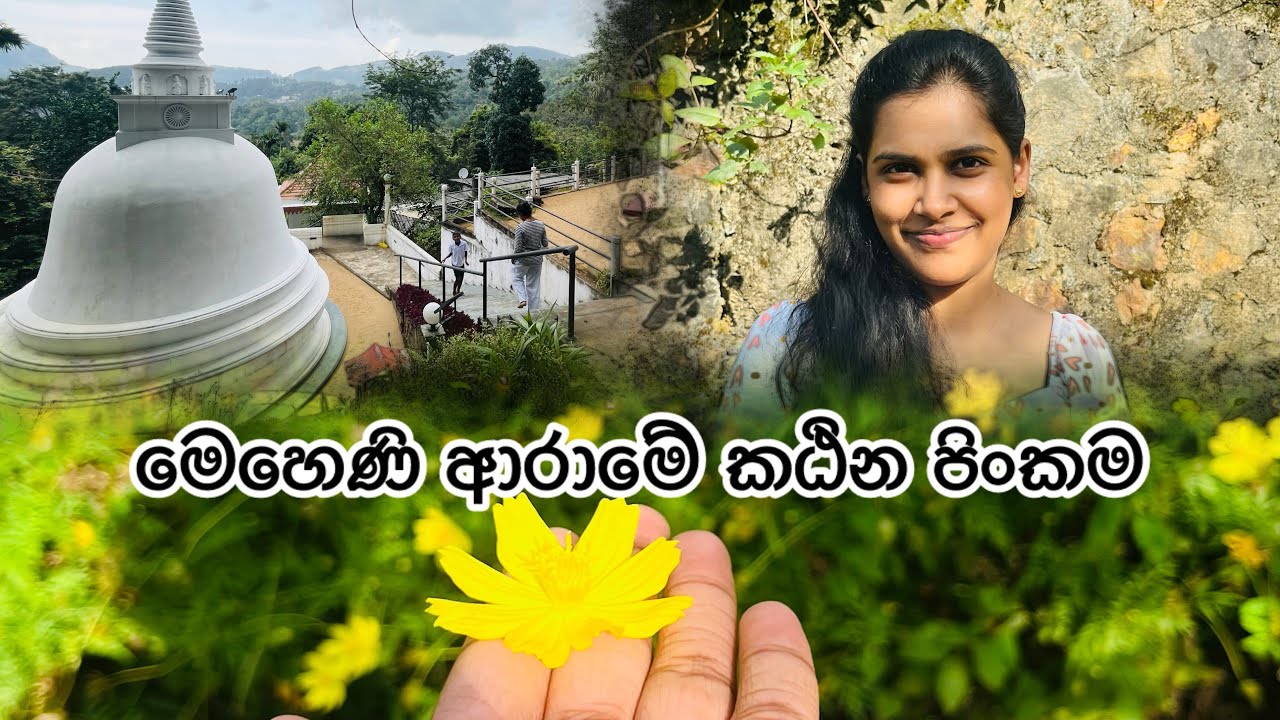 මෙහෙණි ආරාමේ කඨින පිංකම ❤️❤️/My 2nd vlogs 😍#trending #foryou#youtuber #buddhiststory 