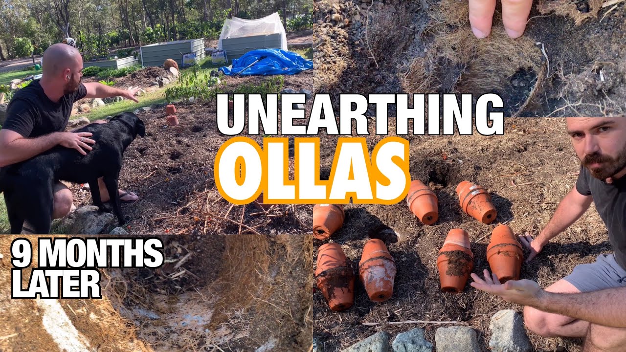 Unearthing Ollas: 9 Months Later