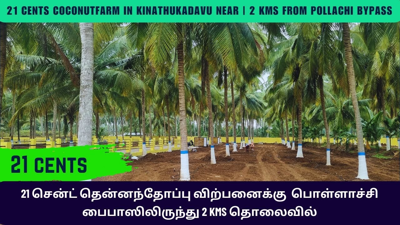 21 cents 🌴 Coconut farm for Sale in Kinathukadavu Near | 2 kms from CBE to Pollachi Bypass 🛣️