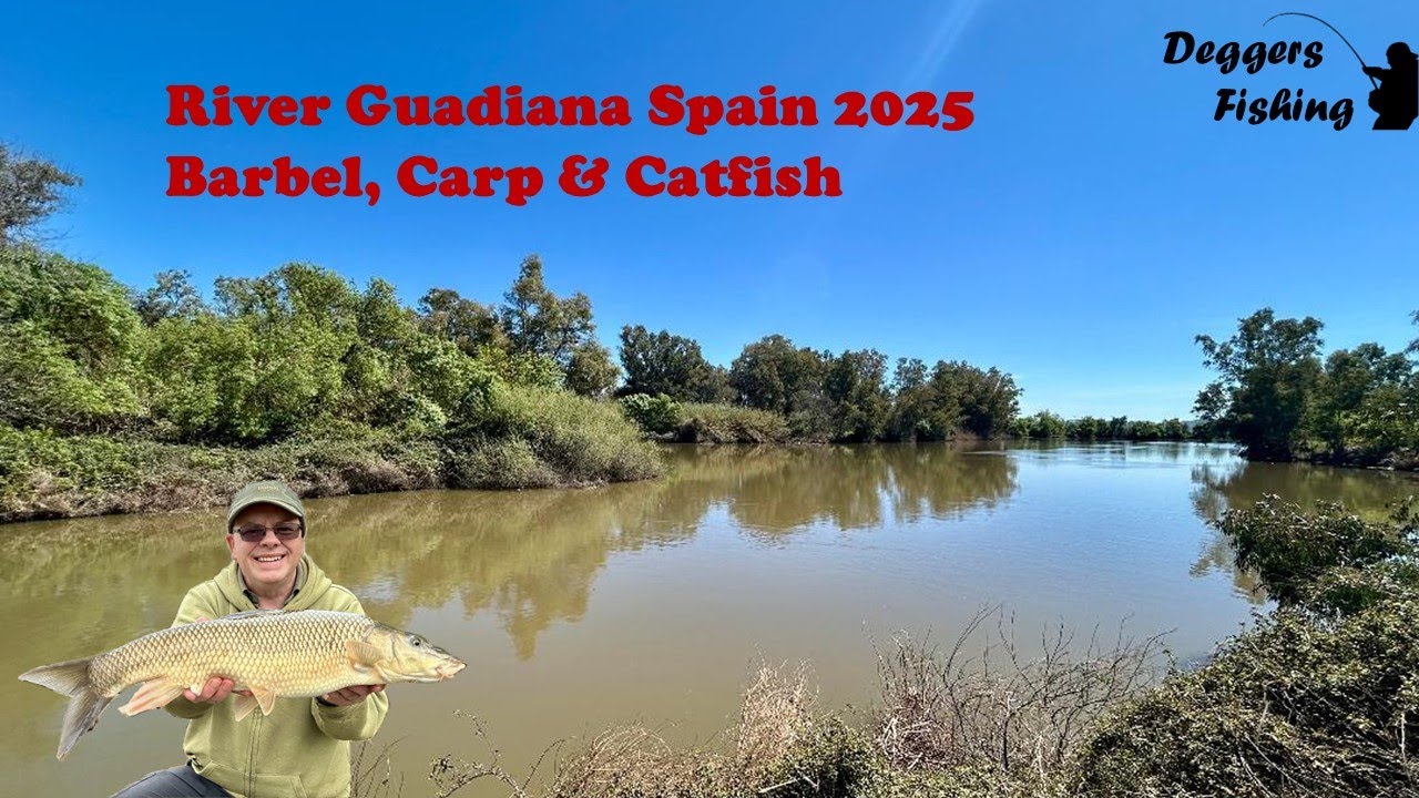 River Guadiana Spain 2025 - Barbel, Carp & Catfish