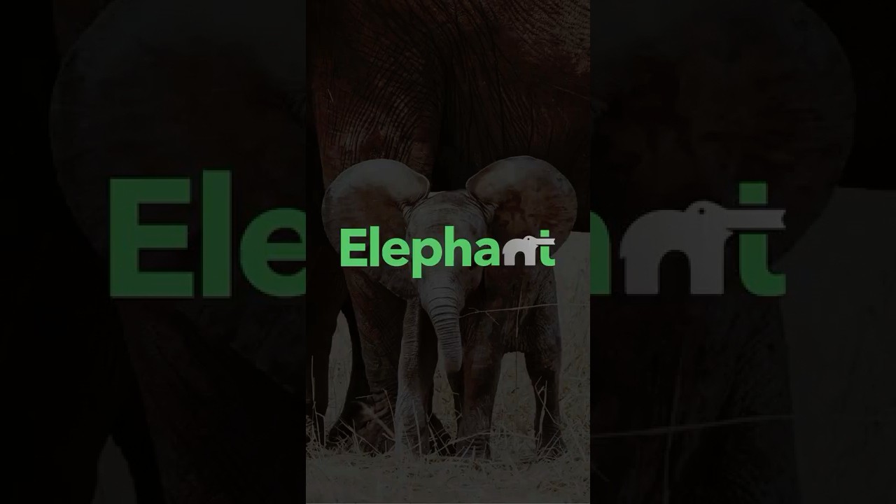 Simple Logo 