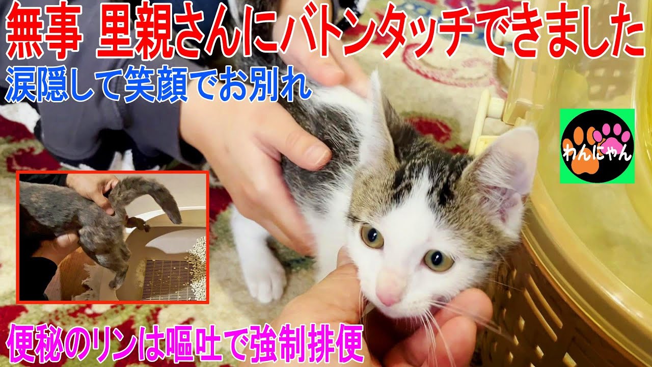 無事 里親さんにバトンタッチできました