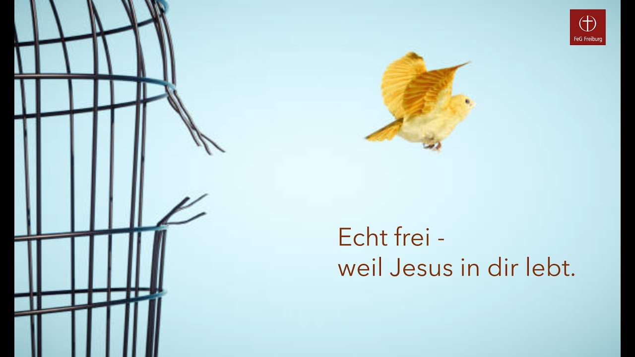 Echt frei - weil Jesus in dir lebt