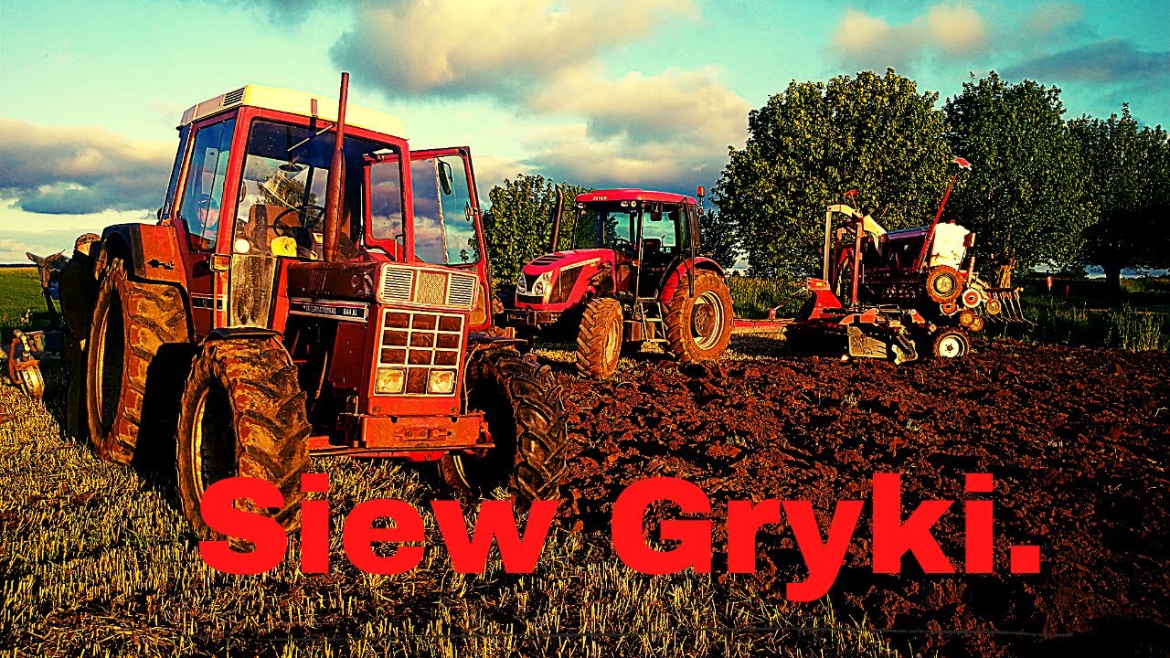 Vlog7.Orka i siew gryki.Zetor Proxima90 plus& Rolex,Unia Poznaniak.Case international 844xl &Overum.