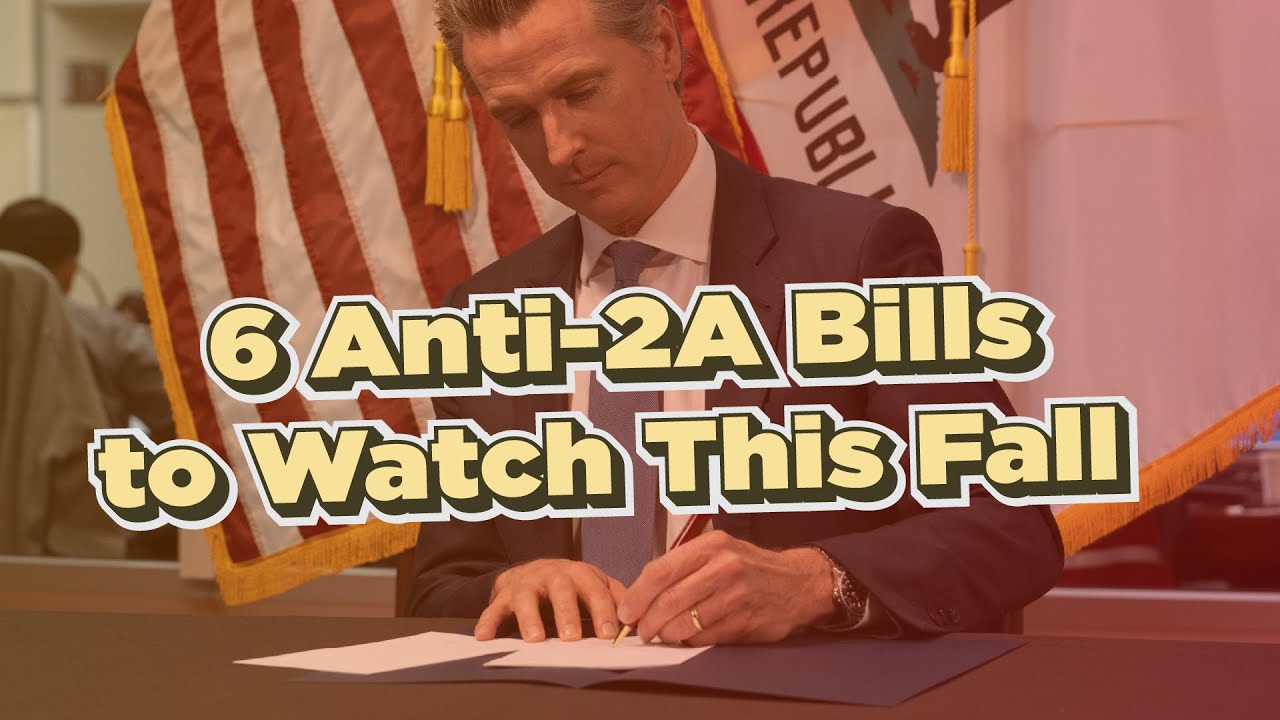California's Budget Crisis Could still END These Gun Bills!