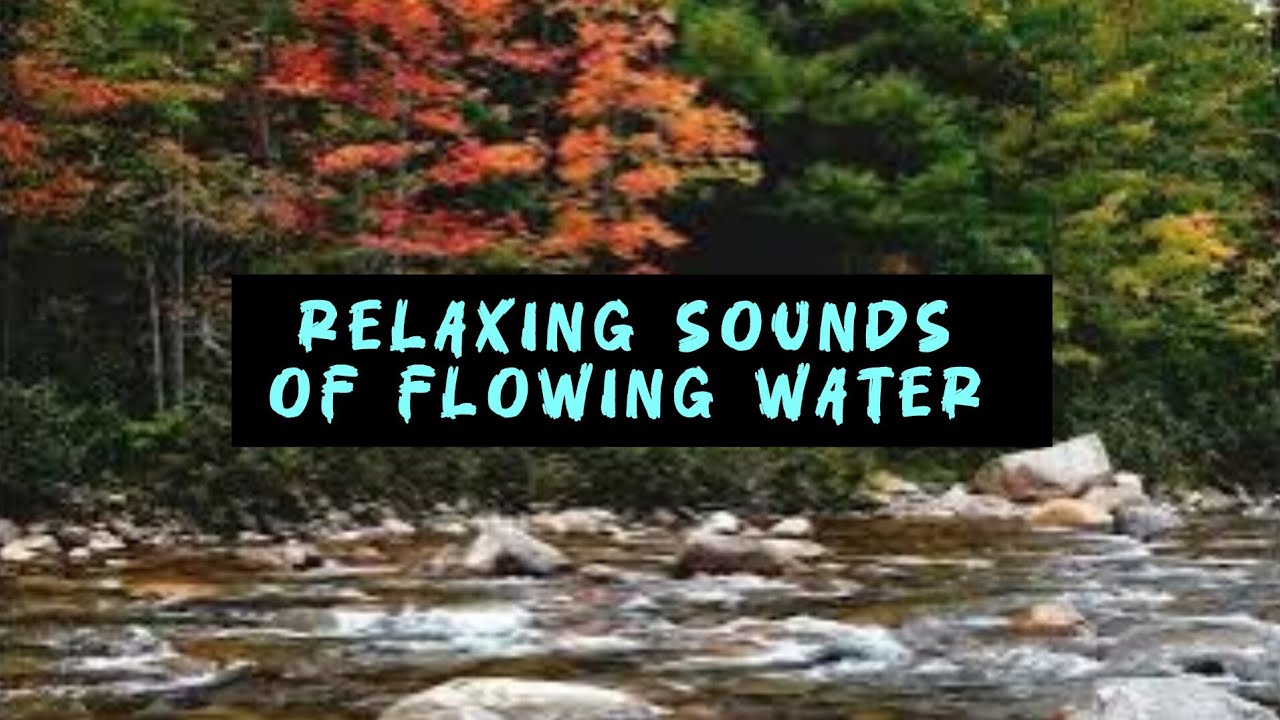 Autumn Creek / #asmr sounds for relaxation and sleep 😴