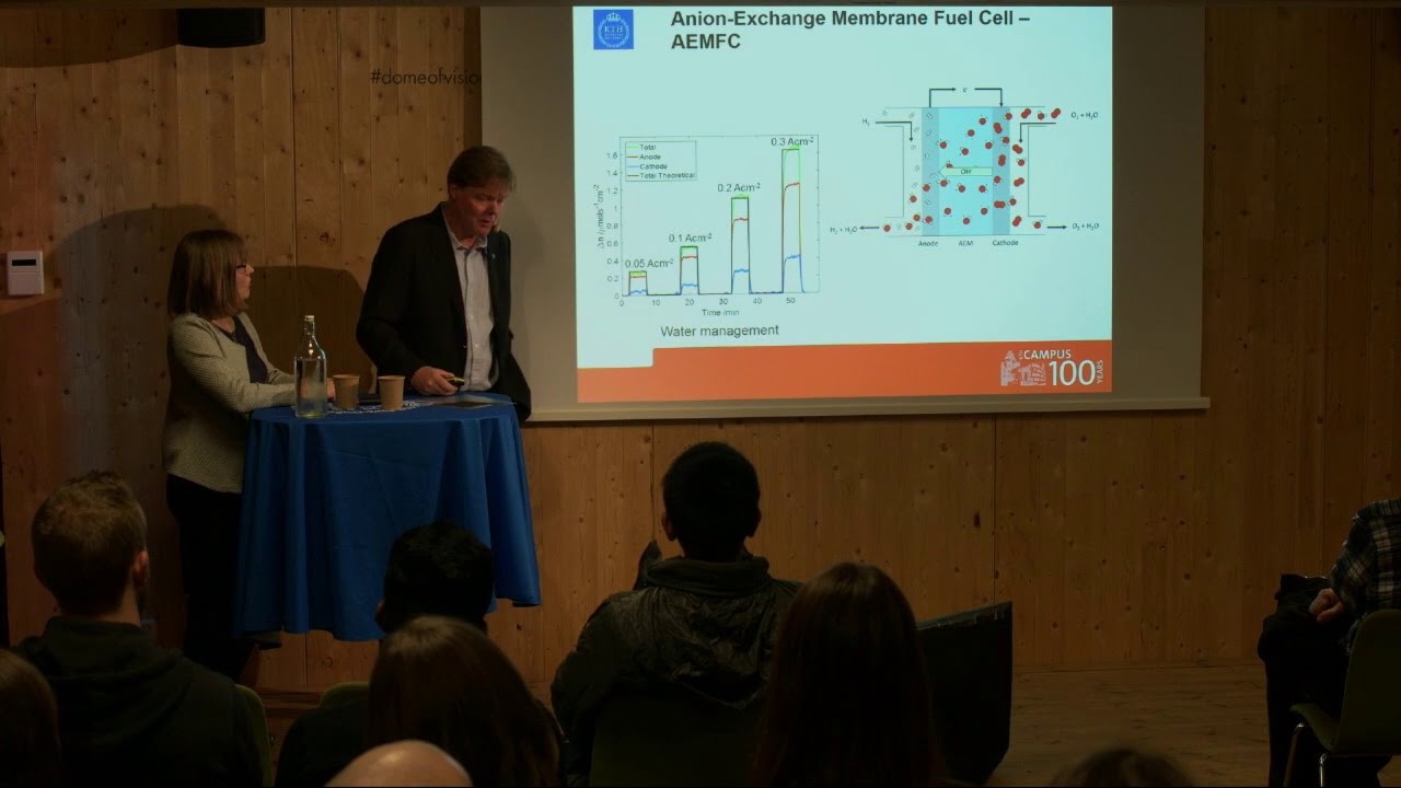Electrochemical energy converters | Carina Lagergren, G&ouml;ran Lindbergh