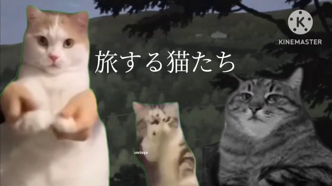 【猫ミーム】【ホラー】旅する猫たち