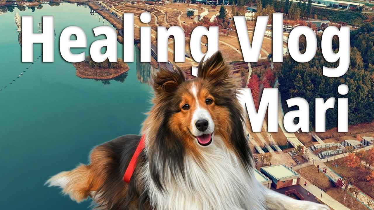 Mari's Healing Vlog | Dongtan Lake Park